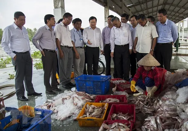 Phó Thủ tướng Trịnh Đình Dũng khảo sát tại Cảng cá Tắc Cậu, xã Bình An, huyện Châu Thành (Kiên Giang). (Ảnh: Hồng Đạt/TTXVN)