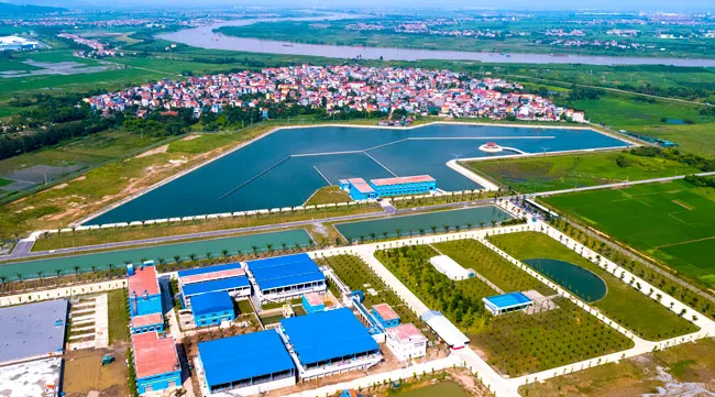 Tổng thể nhà máy