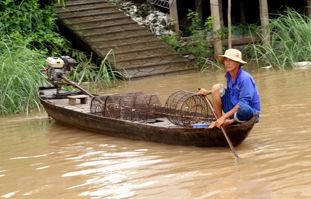 Người dân xã Vĩnh Lộc (An Phú, An Giang) tranh thủ con nước về thả lọp bắt cá. (Ảnh: Công Mạo/TTXVN)