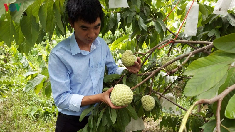 Người tiêu dùng ngày càng đòi hỏi sử dụng những sản phẩm có nguồn gốc rõ ràng và chất lượng được đảm bảo.