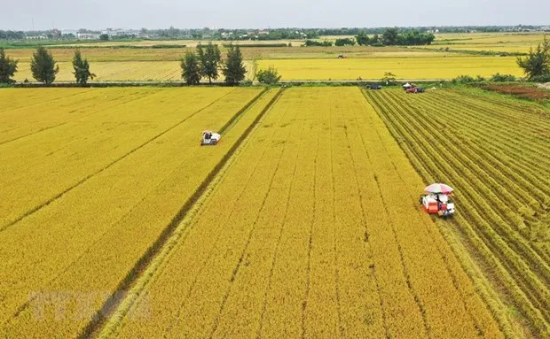 Gỡ "nút thắt" tích tụ đất đai cho sản xuất nông nghiệp