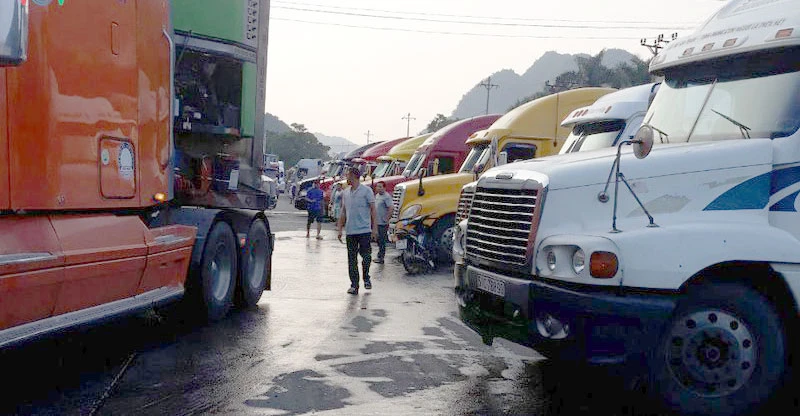 Nông sản chính vụ và thời điểm cuối năm thương gặp nhiều khó khăn khi xuất khẩu sang Trung Quốc.