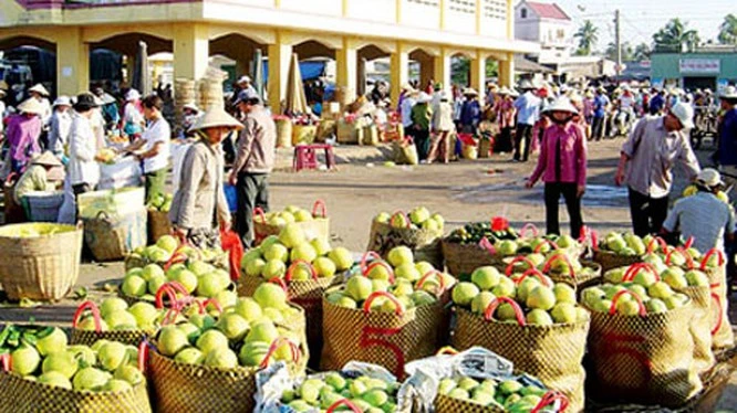 Để nông sản không cần “giải cứu” 