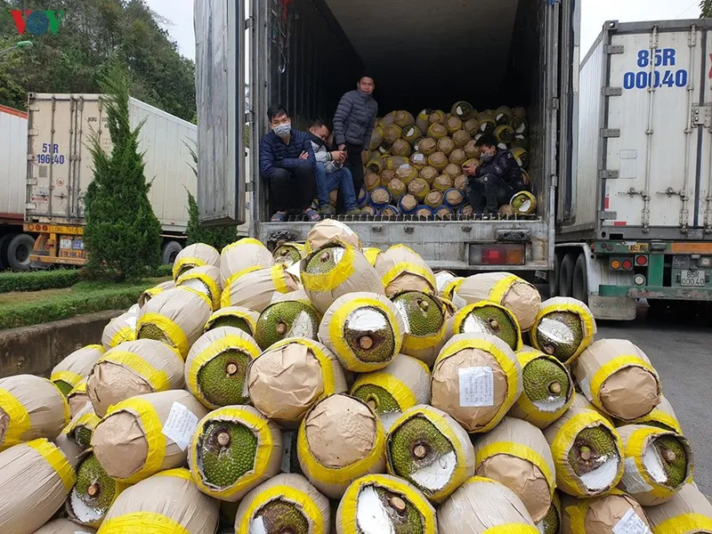 doanh nghiệp giao thông "thấm đòn" dịch covid-19, kiến nghị giảm thuế, phí hình 3 doanh nghiep giao thong "tham don" dich covid-19, kien nghi giam thue, phi hinh 3