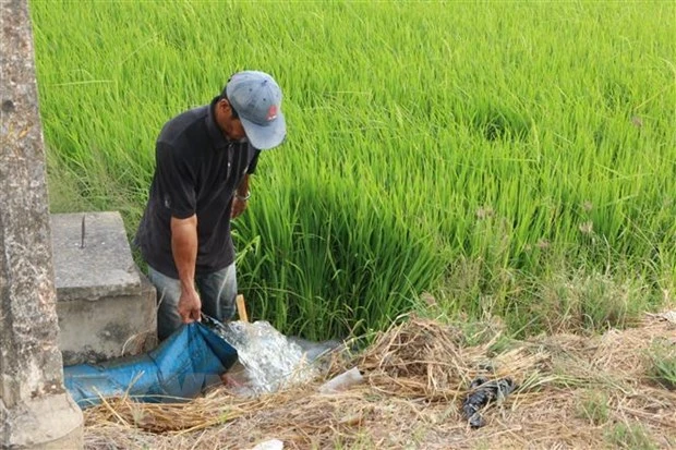 Người dân huyện Tân Trụ (Long An) bơm nước chống hạn. (Ảnh: Thanh Bình/TTXVN)