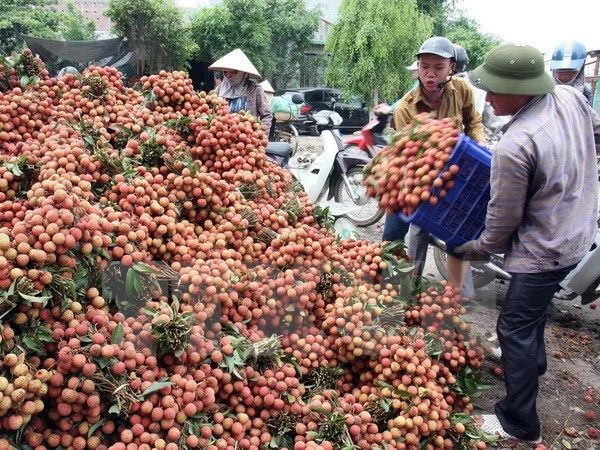 Kết nối sản xuất, tiêu thụ nông sản thực phẩm vùng kinh tế phía Nam