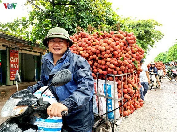 Trung Quốc sẽ tăng nhập khẩu vải thiều từ Việt Nam