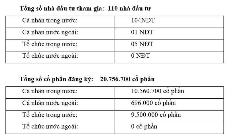 Đăng ký tham gia đấu giá cổ phần CTCP Tập đoàn An Phát Holdings ảnh 1
