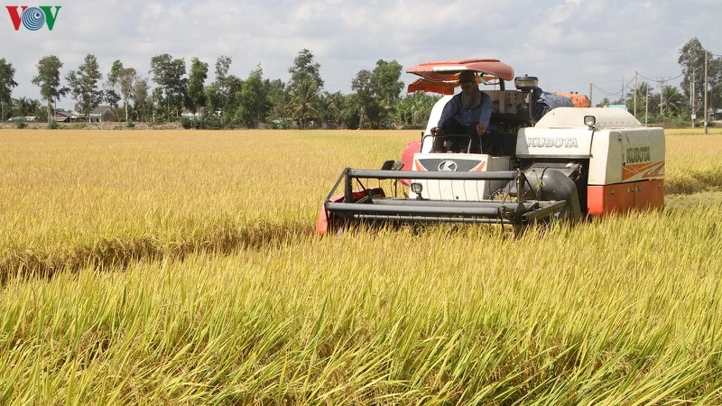 An ninh lương thực và nông lâm thủy sản phục vụ xuất khẩu là mục tiêu kép của ngành nông nghiệp trong "tình hình mới".