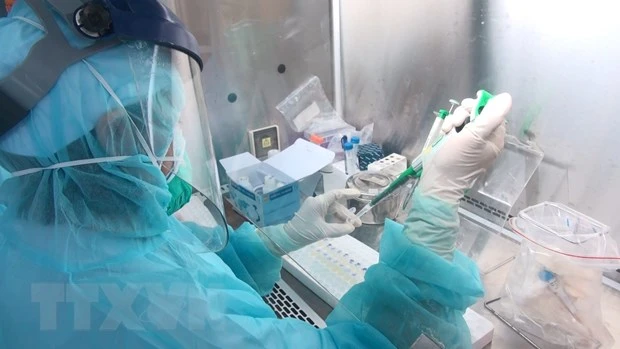 Lấy mẫu xét nghiệm virus SARS-CoV-2. (Ảnh: TTXVN/Vietnam+)