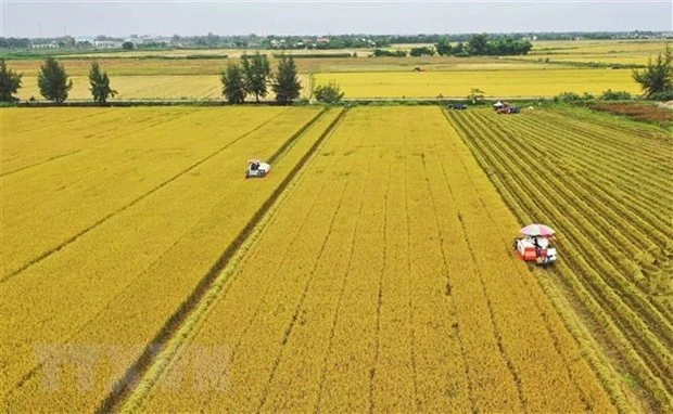 Ban hành Nghị quyết kéo dài thời hạn miễn thuế sử dụng đất nông nghiệp