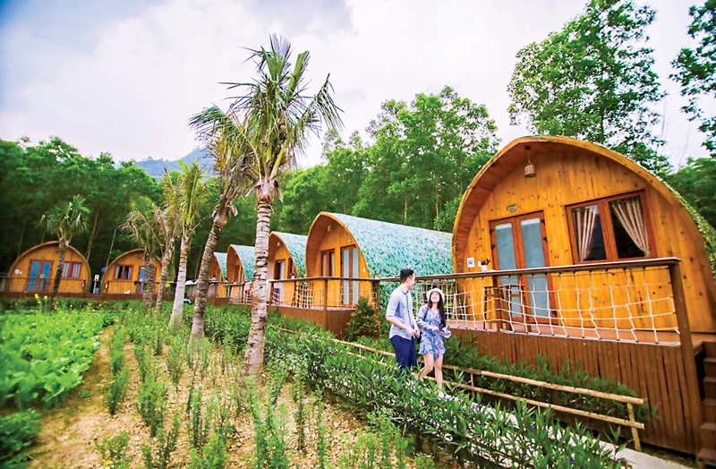 Mô hình farmstay đã bị biến tướng khi phân lô đất nông nghiệp để đầu tư.