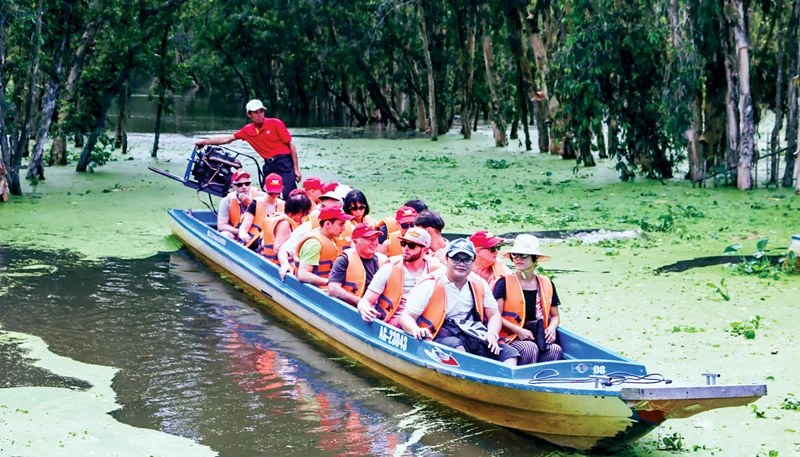 Rừng tràm Trà Sư - điểm du lịch hấp dẫn ở An Giang. Ảnh: Sao Mai