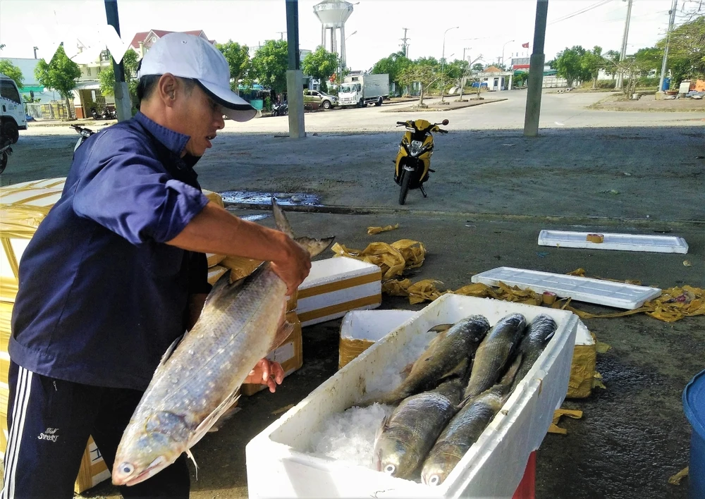 Một trong những khó khăn các địa phương đang gặp phải là cơ sở vật chất phục vụ kiểm tra, chứng nhận sản phẩm còn thiếu.