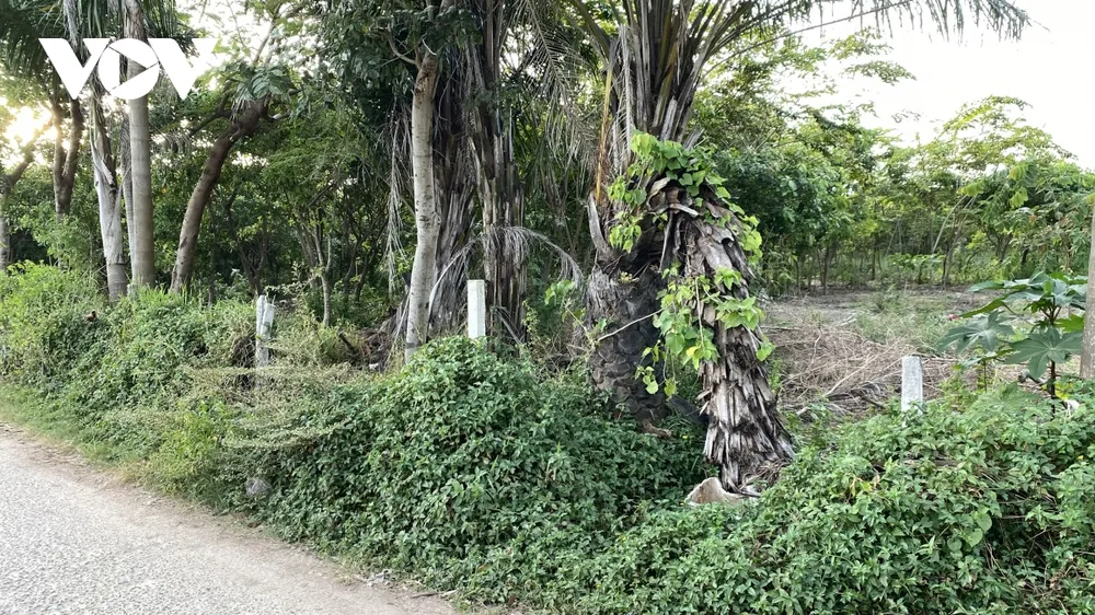 Loạn phân lô, bán nền trên giấy ở Vũng Tàu ảnh 1 Loạn phân lô, bán nền trên giấy ở Vũng Tàu ảnh 1