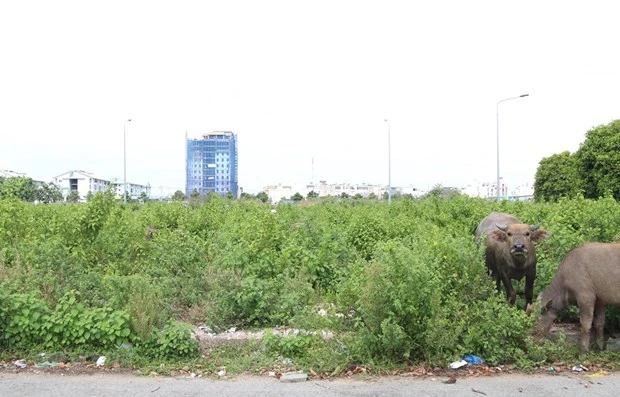 Ảnh chỉ có tính minh họa. (Nguồn: TTXVN)