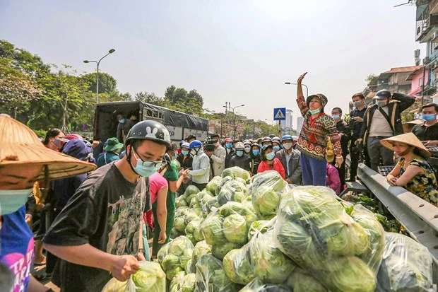 Một điểm giải cứu nông sản tại Hà Nội (Ảnh: Minh Sơn/Vietnam+)