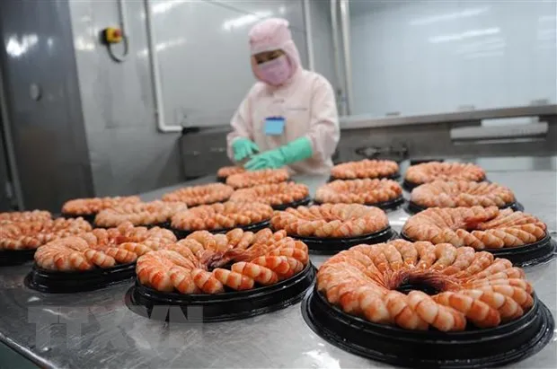 Nhận diện thách thức để phát triển thương hiệu tôm Việt Nam hình ảnh 2 Nhan dien thach thuc de phat trien thuong hieu tom Viet Nam hinh anh 2