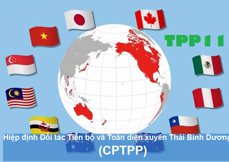 Xuất siêu sang thị trường CPTPP