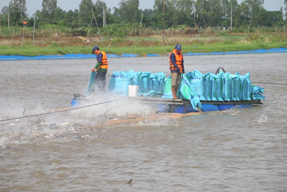 Nguy cơ thiếu cá nguyên liệu năm 2022.