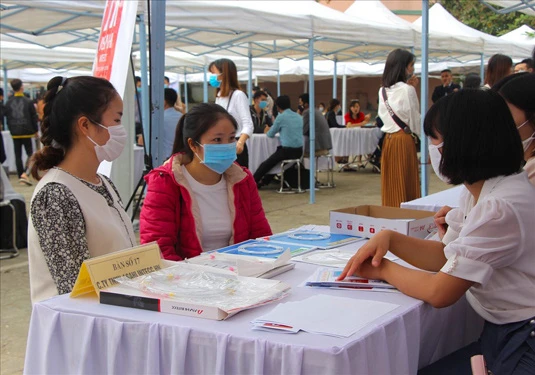 Các địa phương cần khẩn trương rà soát và xây dựng báo cáo cụ thể về tình hình lao động trên địa bàn.