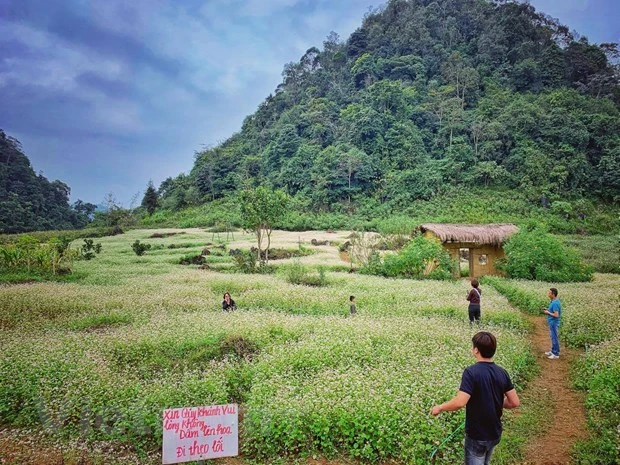Phục hồi du lịch: Thiếu thống nhất về tiêu chí an toàn chung hình ảnh 2 Phuc hoi du lich: Thieu thong nhat ve tieu chi an toan chung hinh anh 2