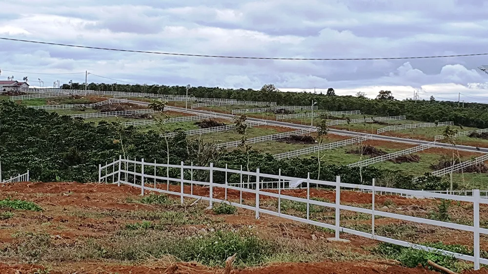Trong tháng 2.2022, Tổ công tác phải thực hiện xong việc kiểm tra, rà soát hiến đất làm đường, tách thửa ở TP.Bảo Lộc và H.Bảo Lâm Lâm Đồng kiểm tra việc hiến đất làm đường, tách thửa ở TP.Bảo Lộc và H.Bảo Lâm - ảnh 3