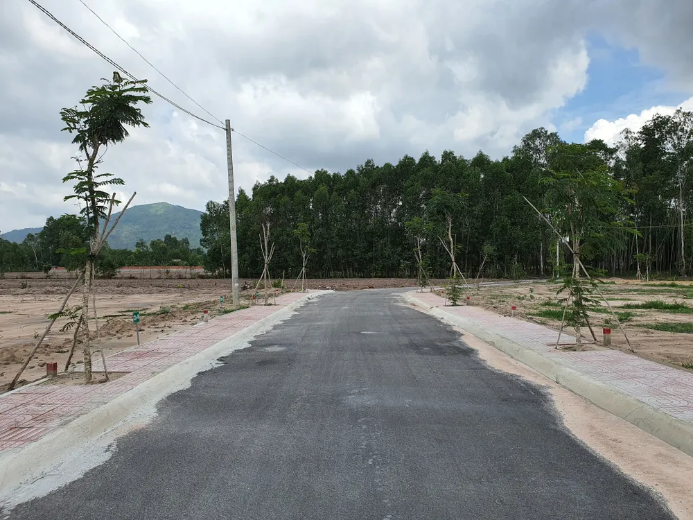 Bà Rịa - Vũng Tàu: Người dân bế tắc khi xin thủ tục tách thửa đất ở - ảnh 3