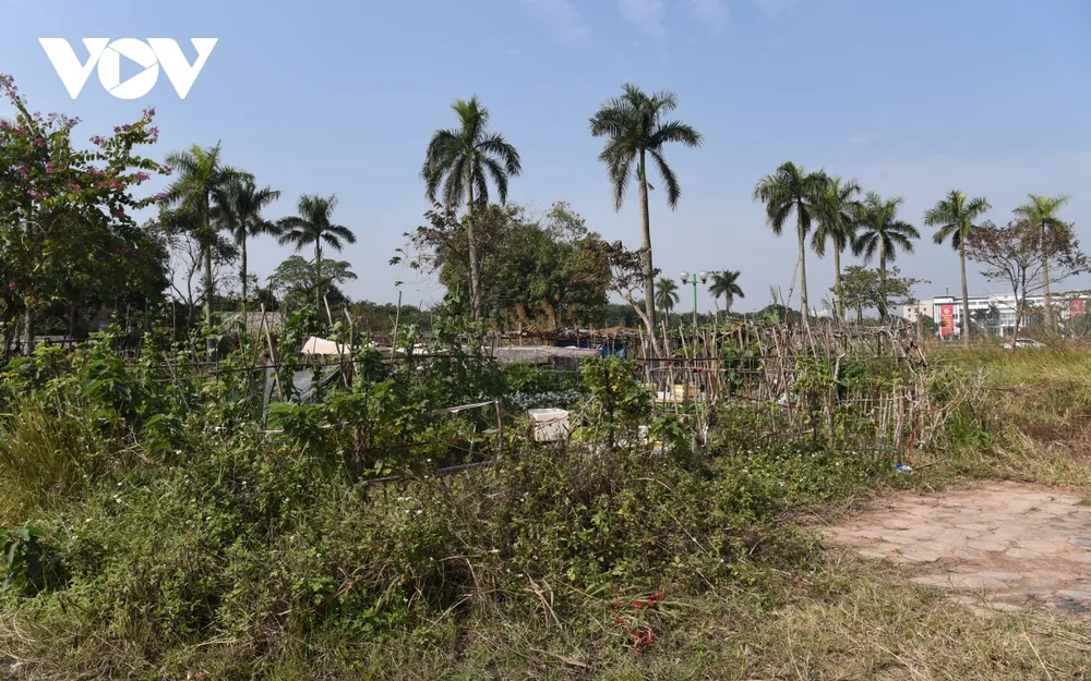 Công viên ở Hà Nội bị bỏ hoang, xuống cấp biến thành vườn rau giữa khu đô thị Việt Hưng ảnh 11