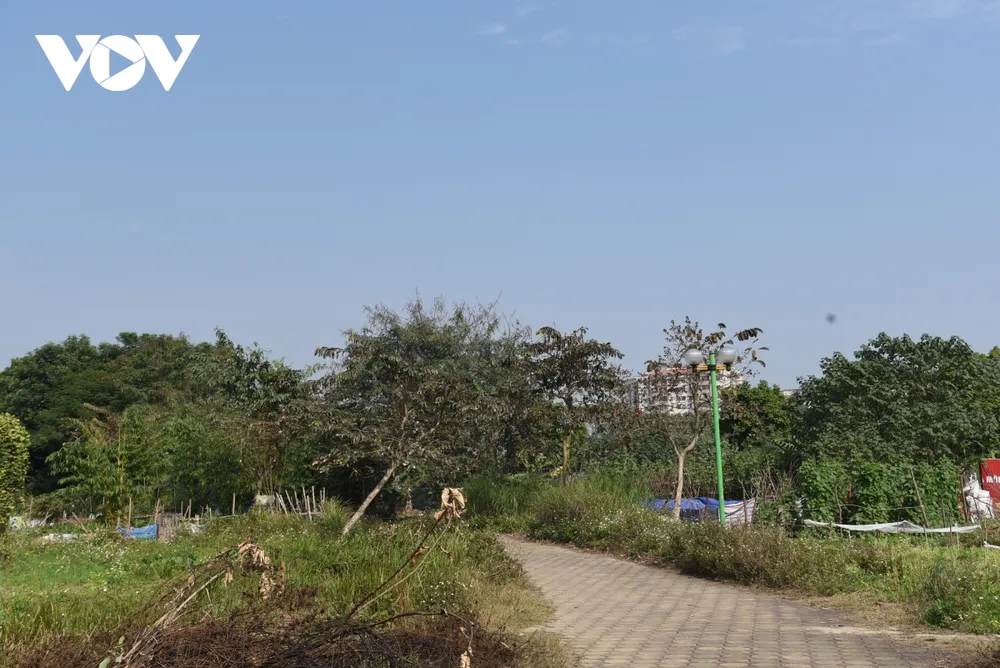 Công viên ở Hà Nội bị bỏ hoang, xuống cấp biến thành vườn rau giữa khu đô thị Việt Hưng ảnh 14