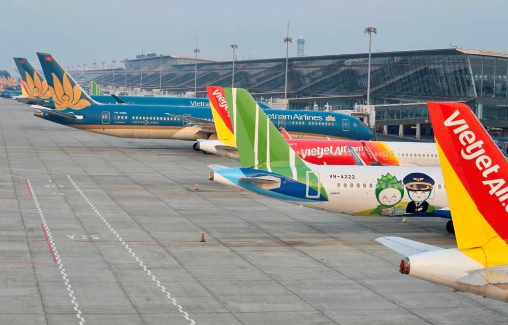 Máy bay của các hãng hàng không Việt Nam tại sân bay Nội Bài. (Ảnh: CTV/Vietnam+)