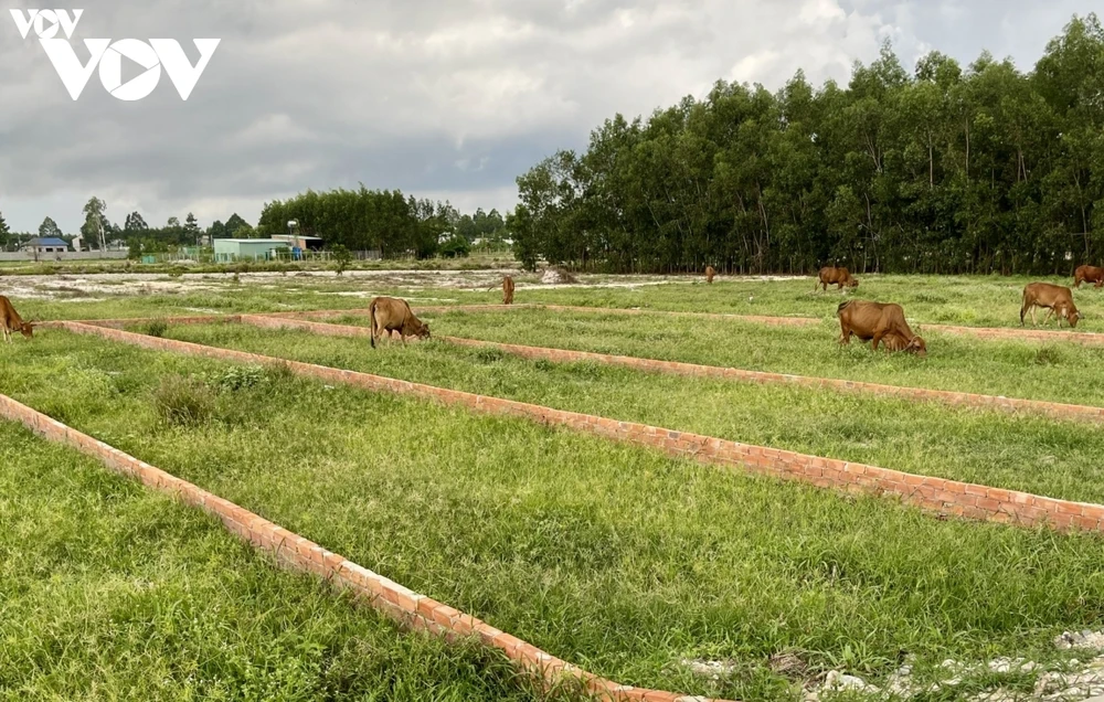 Quyết định 15 quy định về phân lô tách thửa vô tình đã đẩy người dân vào thế khó.