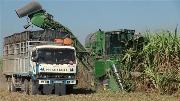 Thu hoạch mía bằng máy tại xã Ninh Điền, huyện Châu Thành, tỉnh Tây Ninh. (Ảnh: Lê Đức Hoảnh/TTXVN)