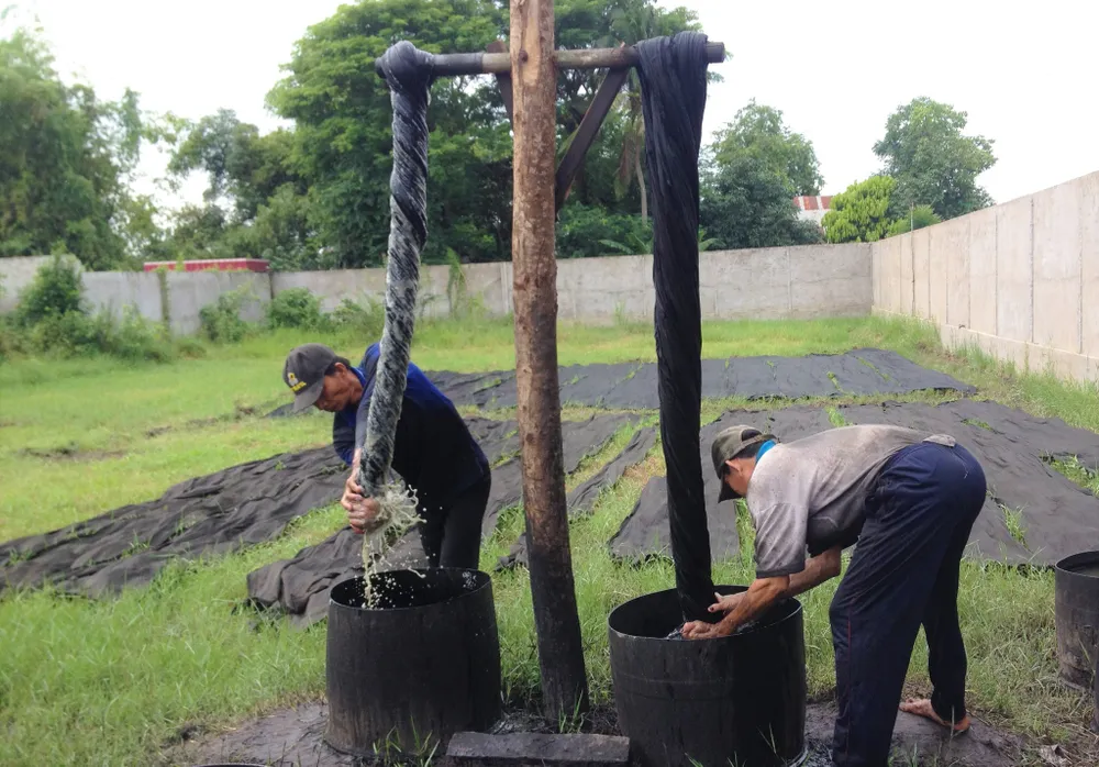 Nhuộm lụa Lãnh Mỹ A từ trái mặc nưa Độc đáo làng Việt: Tơ lụa Tân Châu - ảnh 3