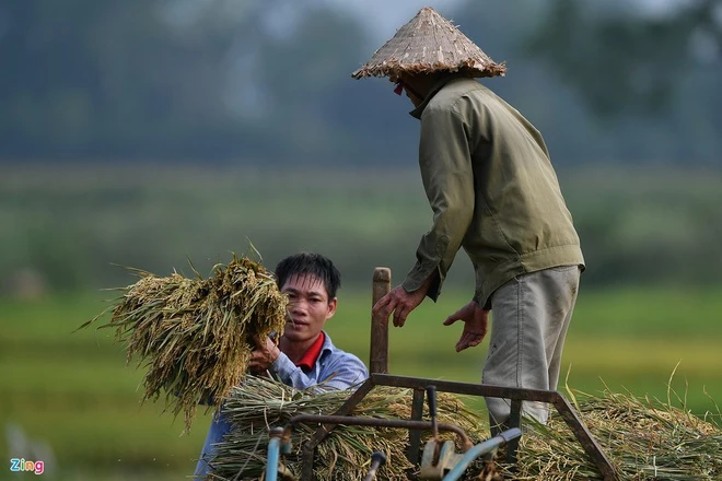 Thời gian qua, giá phân bón, thức ăn chăn nuôi, thuốc bảo vệ thực vật tăng cao gây ảnh hưởng đến hoạt động sản xuất, nuôi trồng của người dân. Ảnh: Hoàng Hà.