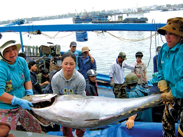 Chống khai thác IUU: Đẩy mạnh áp dụng công nghệ thông tin