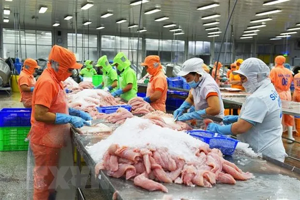 Lạm phát châu Âu gây tác động đa chiều đến xuất khẩu thủy sản Việt Nam hình ảnh 2 Lam phat chau Au gay tac dong da chieu den xuat khau thuy san Viet Nam hinh anh 2