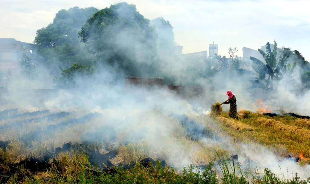 UNDP: Việt Nam cần 330-370 tỷ USD để đạt mục tiêu phát thải ròng bằng 0