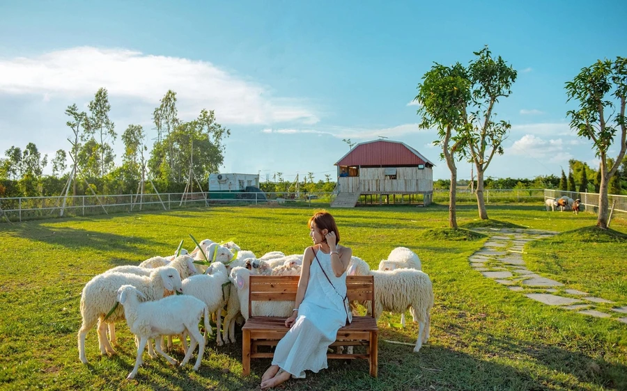 Tiêu chí cho Trang trại nông nghiệp hoạt động du lịch