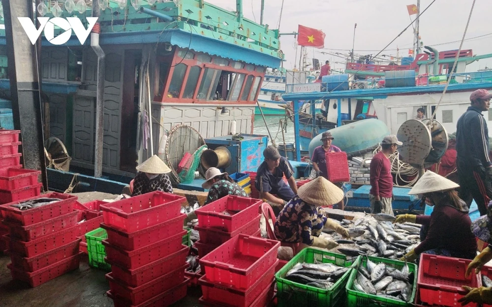 Tròn 5 năm châu Âu đưa ra “thẻ vàng” cảnh cáo đối với thủy sản của nước ta do không tuân thủ quy định khai thác IUU.