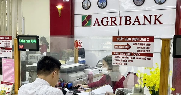 Khách hàng giao dịch tại chi nhánh Ngân hàng Agribank.