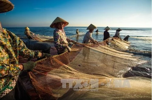 Ảnh minh họa. (Nguồn: TTXVN)