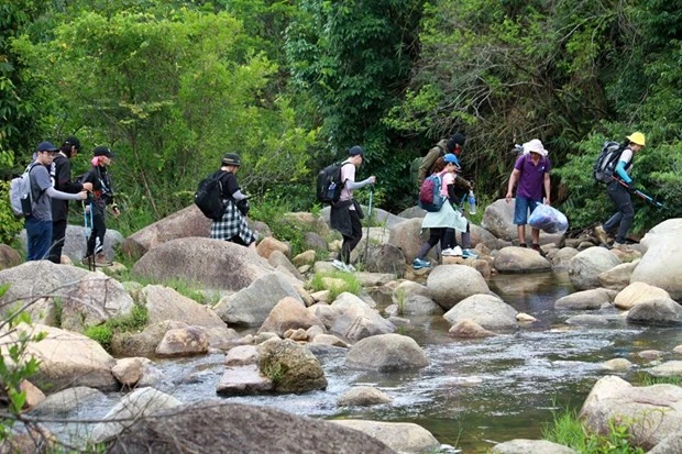 Du khách trải nghiệm tour dã ngoại, leo núi Chư Yang Lắk ở huyện Lắk, tỉnh Đắk Lắk. (Ảnh: Hoài Thu/TTXVN)