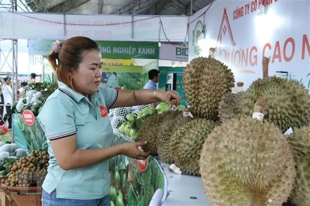 Sầu riêng là một trong những nông sản được xuất khẩu sang Trung Quốc. (Ảnh: Tuấn Anh/TTXVN)