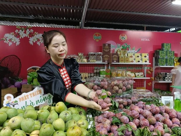 Các chương trình kết nối tiêu thụ nông sản đã tạo ra sức hấp dẫn với người tiêu dùng Thủ đô. (Ảnh: Đức Duy/Vietnam+)