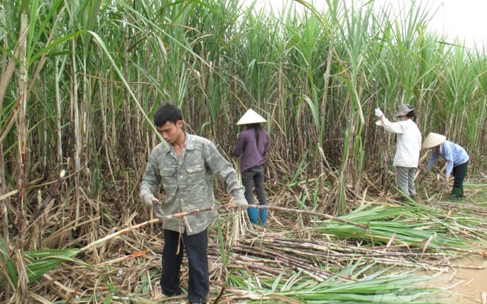 Quản lý cung cầu đường: Bài học nào cho Việt Nam?