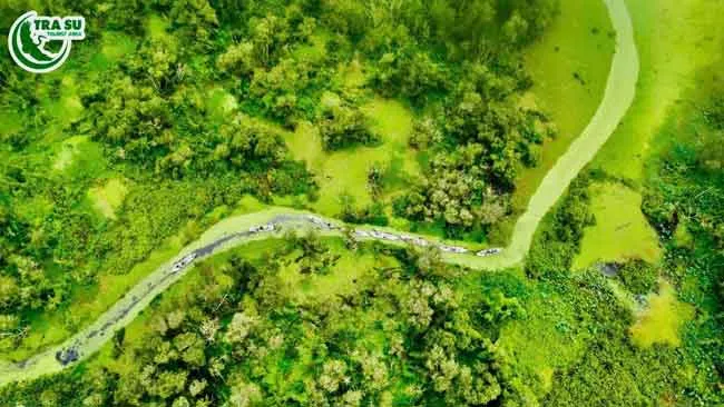 Màu xanh Matcha luôn có sức lôi cuốn mãnh liệt Màu xanh Matcha luôn có sức lôi cuốn mãnh liệt