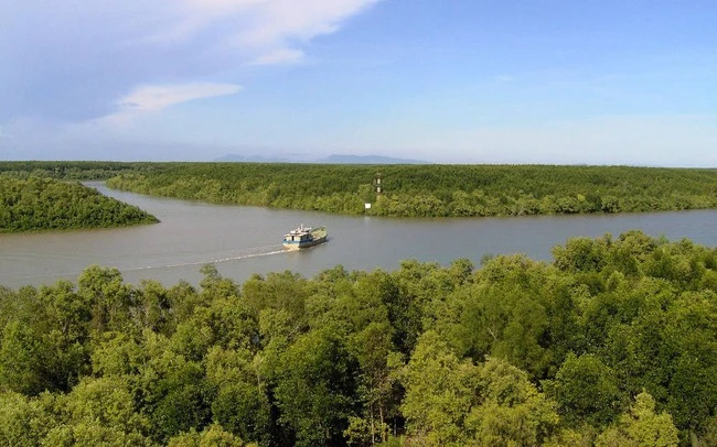 Rừng phòng hộ Cần Giờ đáp ứng 4/8 tiêu chí đề cử khu Ramsar.