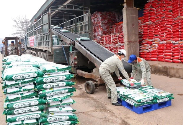 Công nhân Công ty Cổ phần Supe Phốt phát và Hóa chất Lâm Thao vận chuyển sản phẩm phân bón mới lên xe của khách hàng. (Ảnh: Trung Kiên/TTXVN)