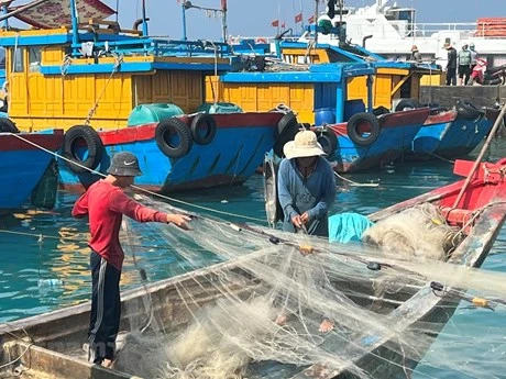 Gỡ thẻ vàng IUU: Giải quyết các thiếu sót để đón Đoàn thanh tra EC